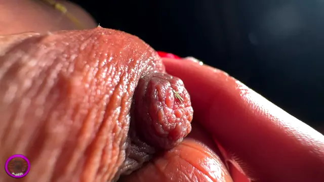 Poster: The Cirilla Emporium - - Giantess Cirilla Nip Squish Poster: The Cirilla Emporium - - Giantess Cirilla Nip Squish