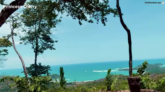 Poster: - Prrincess Cherry – Vaca Cuck Cleanup