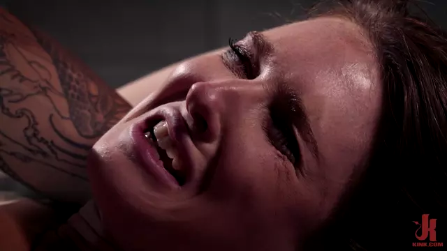 Poster: Ashley Lane - - Security Risk, Part : Collateral