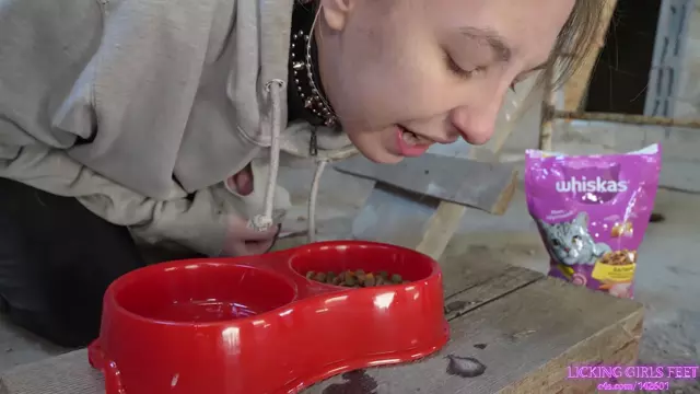 Poster: Licking Girls Feet - - Sarah And Victoria Pet On A Chain Hd