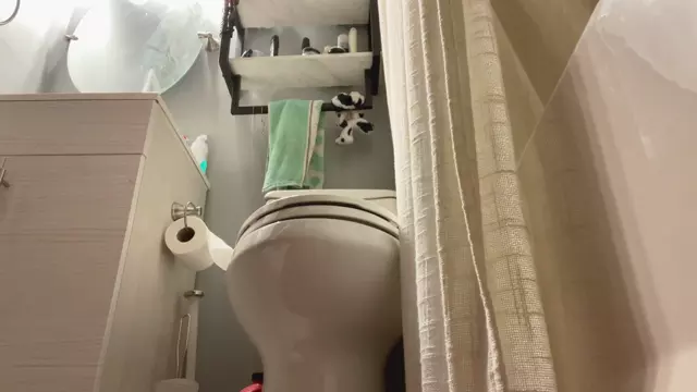 Poster: maggierosexo - - Secretly Filming Your Aunt Taking a Piss