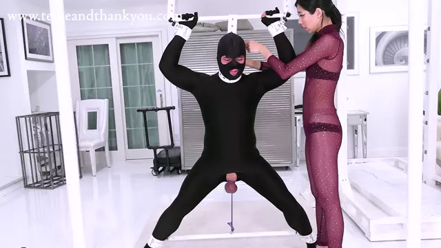 Poster: TeaseandThankYou - - Sylvie - Strong Stance To Take